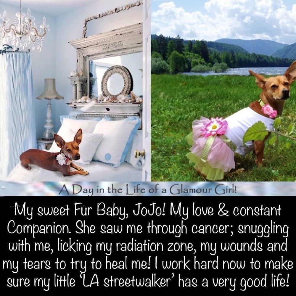 The reason I work so hard, my Fur Babies! - Picture 3 of 4